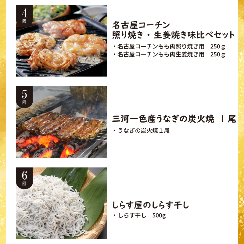 【お試し】お肉・海鮮　定期便（全6回お届け） H028-075