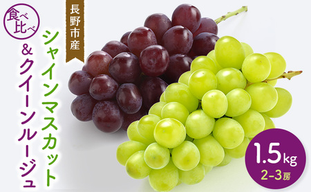 2026年産先行予約シャインマスカット&クイーンルージュ? 1.5kg 2-3房 食べ比べ 長野市産 フルーツ 果物 ぶどう ※配送不可:沖縄、離島