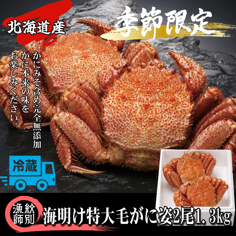 65-9 【北海道産】特大海明け毛がに姿 2尾計約1.3kg【期間限定5月18日まで受付予定】(冷蔵便)