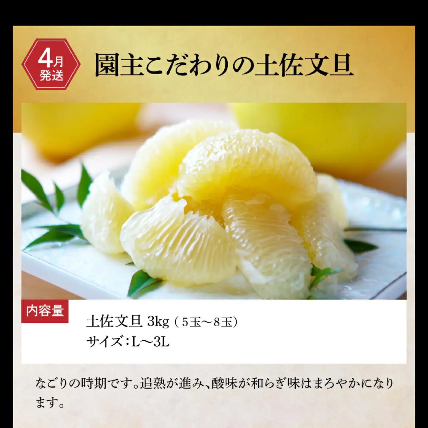 【全6回定期便】土佐市まるごとセット 高知県土佐市 /文旦 鰹たたき トイレットペーパー ネギトロ  【土佐市役所】 [BQCD013]