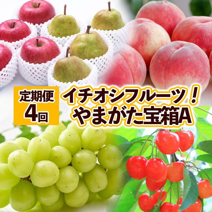 【定期便4回】イチオシフルーツ！やまがた宝箱A FY25-823