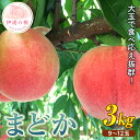 【ふるさと納税】2025年出荷分 先行予約福島県産 まどか 3kg 2025年8月上旬〜2025年8月中旬発送 先行予約 予約 大玉 固め 伊達の桃 桃 もも モモ 果物 くだもの フルーツ 国産 食品 F20C-370