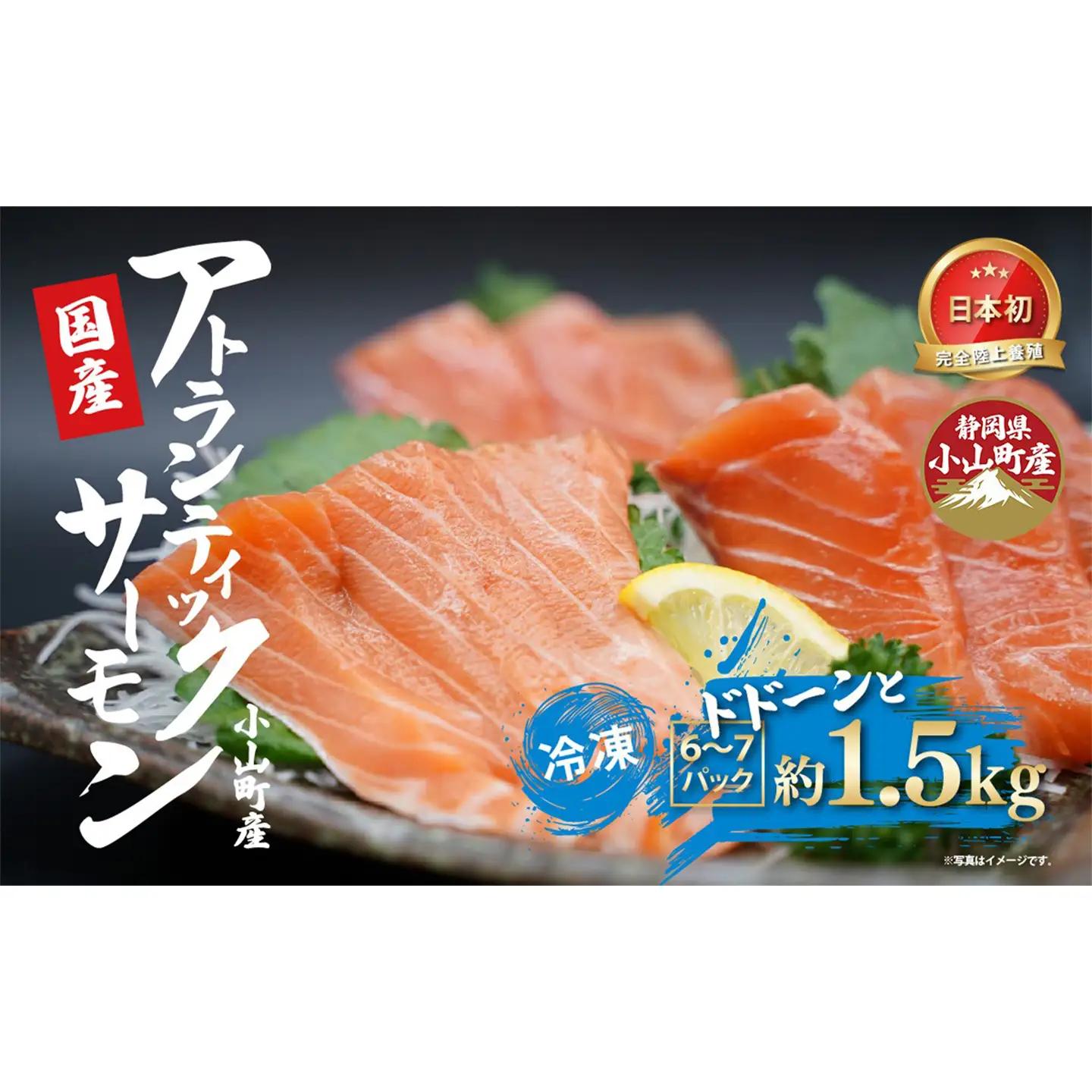 国産サーモン 冷凍 6～7P 約1.5kg サーモン