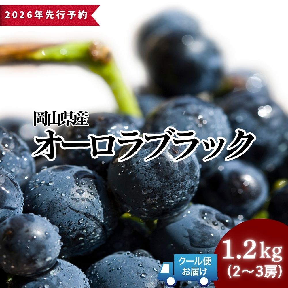 【ふるさと納税】＜2026年発送先行予約＞岡山県産 オーロラブラック 1.2kg以上（2〜3房）2026年8月下旬頃から順次発送予定 大粒 種無し 高糖度 薄皮 フルーツ 果物 くだもの ぶどう ブドウ 葡萄 岡山県 高級 人気 送料無料［025-a023］