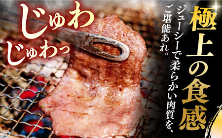【12回定期便】【塩だれ】九州産和牛の牛タン 約500g（約250g×2パック）長与町/岩永ホルモン [EAX087] 国産 焼肉 薄切り スライス