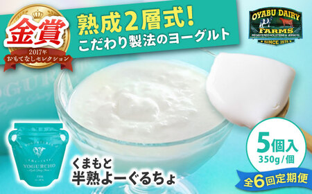 【全6回定期便】オオヤブデイリーファーム くまもと半熟よーぐるちょ 350g×5個【株式会社 オオヤブデイリーファーム】[AYAE006]