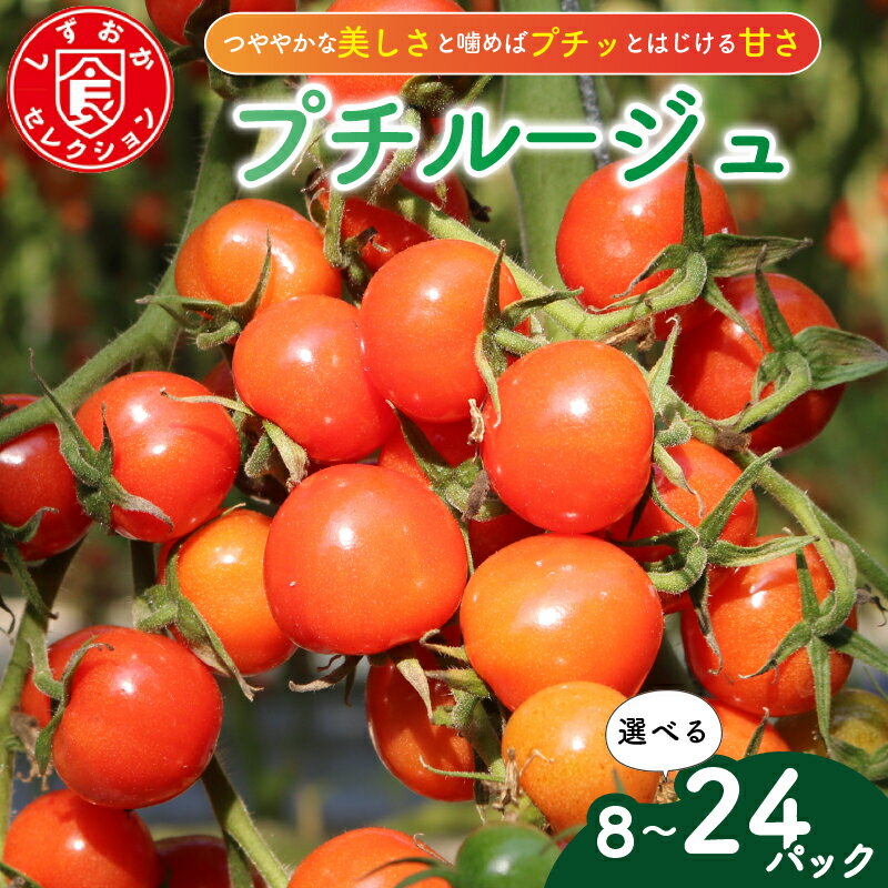 【ふるさと納税】 ミニ トマト プチルージュ 150g × 8 ～ 24 パック 野菜 やさい 新鮮 旬の野菜 プチトマト ミニトマト 産地直送 高糖度 甘い プチ フルーツ ソース ジュース ケチャップ に 静岡県 藤枝市