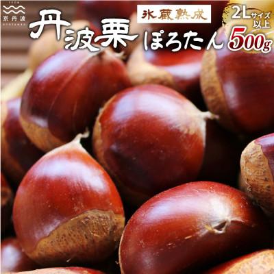 ふるさと納税 京丹波町 京丹波町岩崎農園の「ぽろたん」500g　氷蔵熟成栗　京丹波町産 丹波栗