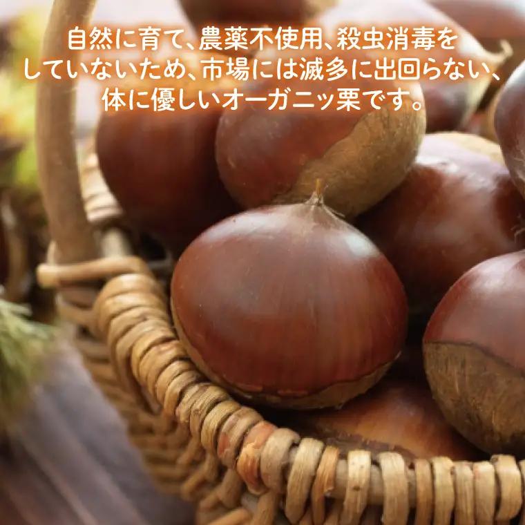 【2026年9月中旬より順次発送】石岡市鶴沼の栗（生栗）3kg（茨城県共通返礼品/石岡市）（KN-6）