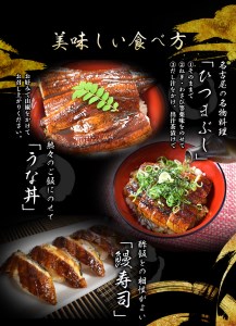 1尾で約240gのビッグサイズ うなぎ蒲焼 2尾 計約480g （タレ・山椒付き） 中国産 鰻 うなぎ うなぎの蒲焼 炭火焼き 炭火 特大サイズ【nks700】