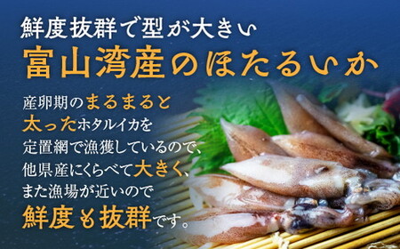 ほたるいか 素干し 100枚 ｜ おつまみ ハマオカ海の幸 ホタルイカ 干物 魚介 魚介類 海鮮 魚 つまみ 加工食品 ※沖縄・離島への配送不可