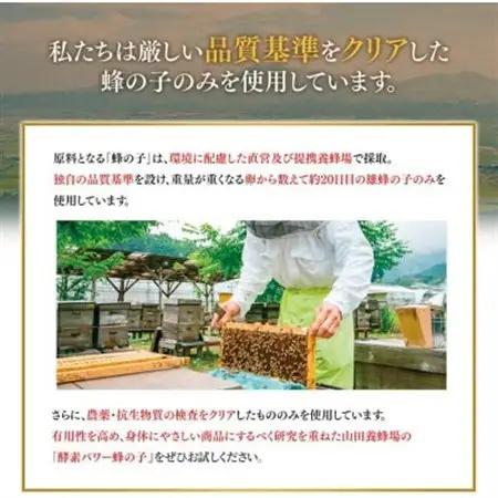 【毎月定期便】酵素パワー蜂の子 (21512)全3回【4008979】