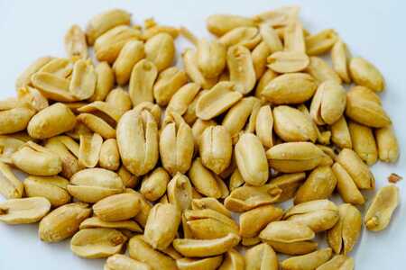 落花生 豆 毎日食べたい落花生セット（4袋）B/ ピーナッツ 4種類 詰合せ 塩味 バター 白砂糖 観光推奨品 丹沢 おつまみ おやつ 秦野 神奈川 厳選素材 豆 落花生 素煎りそぼく豆 白楽花糖 味