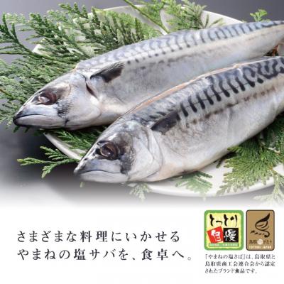 ふるさと納税 鳥取市 塩サバ 5本セット | 