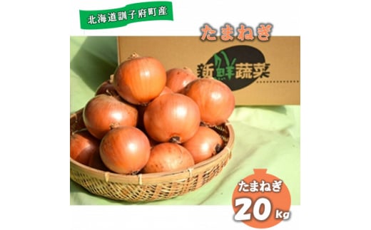 佐藤農場の玉葱20kg【1097717】