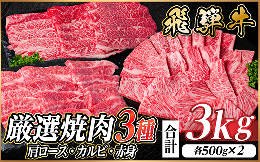 飛騨牛　厳選焼肉3種(肩ロース・カルビ・赤身)　計3kg(各500g×2)　黒毛和牛　小分け【配送不可地域：離島】