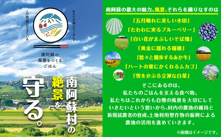 ぴかまる パックご飯 10個 パックごはん 米 パックライス 南阿蘇村産 一般社団法人南阿蘇村農業みらい公社《30日以内に出荷予定(土日祝を除く)》熊本県 南阿蘇村 送料無料 お米 米 ご飯 玄米 パ