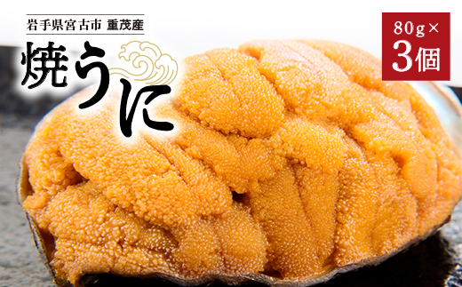 
高級珍味「焼うに」3ヶセット【1023929】
