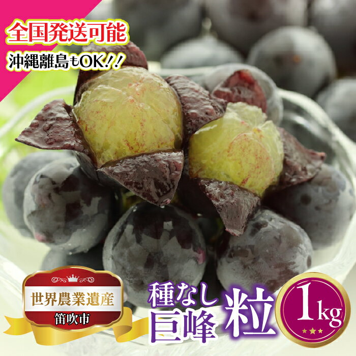 【ふるさと納税】【2026年発送★先行予約】山梨県笛吹市産 種なし巨峰粒 1kg ふるさと納税 ぶどう 種なし巨峰 粒 笛吹市 国産 人気 期間限定 果物 フルーツ 旬 山梨県 送料無料 223-029