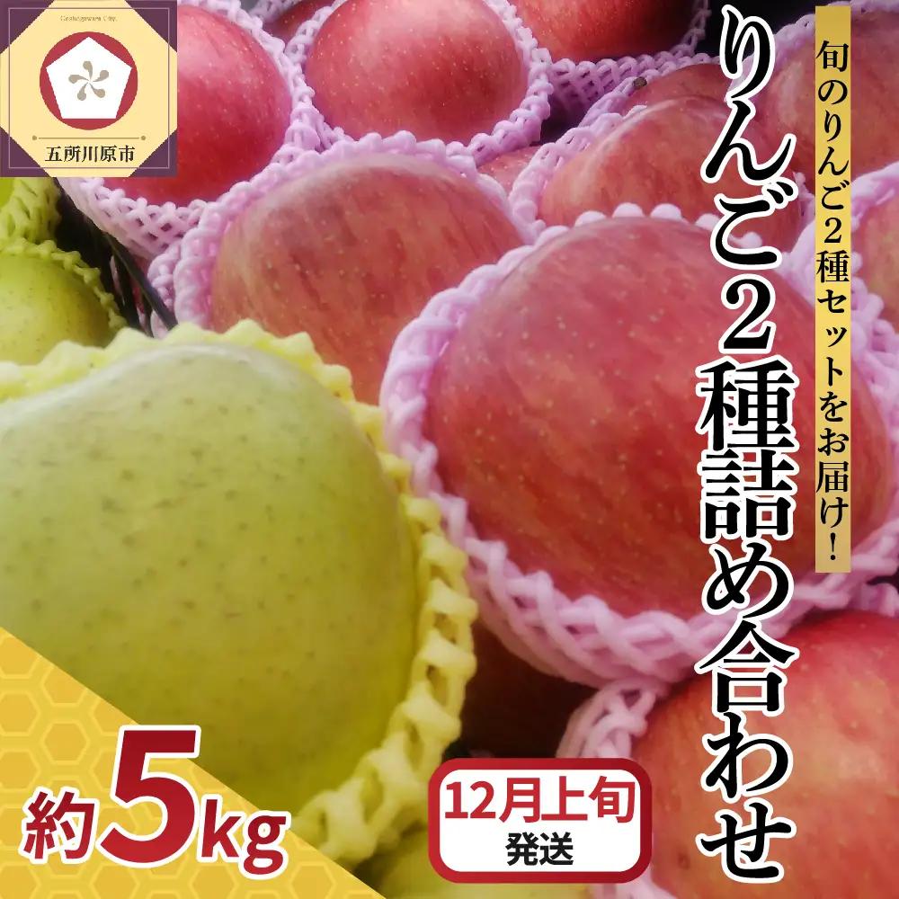 【2026年12月上旬発送】 りんご 5kg サンふじ 王林 他 紅白 詰め合わせ 青森