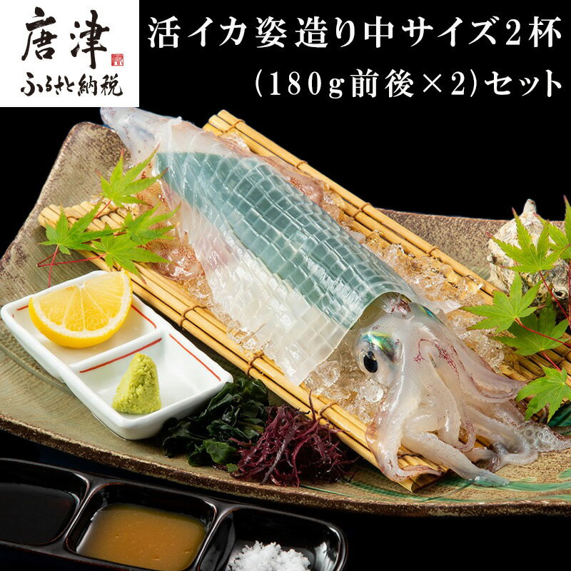 【ふるさと納税】活イカ姿造り中サイズ2杯(180g前後×2)セット！ 鮮度抜群 捌きたて瞬間冷凍 いか活造り 刺身 簡単 呼子 ギフト