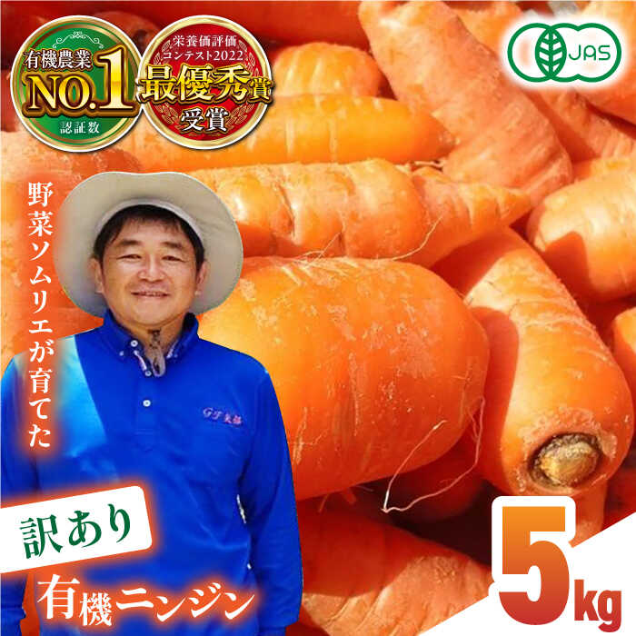 【ふるさと納税】【訳あり】有機 ニンジン 規格外品 約5kg 野菜 にんじん 人参 ジュース サラダ 有機JAS認定 オーガニック野菜 有機野菜 熊本県産 山都町産 産地直送 熊本直送 訳アリ わけあり 不揃い【グリーンファーム矢部】[YDC004]