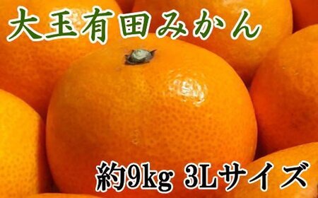 果物 くだもの フルーツ 蜜柑 みかん / 【食べごたえ十分】有田みかん大玉約9kg（3Lサイズ・秀品） ※2024年11月中旬～2025年1月中旬頃より順次発送【tec879f】