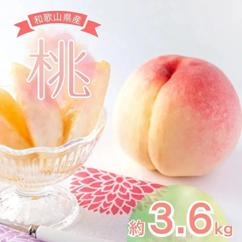  【先行予約受付】和歌山県産の美味しい 桃 約3.6kg(11～15玉)  /もも 果物 フルーツ 和歌山県 ※6月中旬～8月上旬頃順次発送予定 ※離島への配送不可  【mat501-r-3d6】