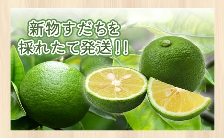 【先行予約】【2024年5月中旬より順次発送】 すだち 1kg 徳島県産 産地直送 特選 新物 |  四国 徳島 小松島 国産 高級 スダチ 大粒 旬 生産量 日本一 柑橘 酢橘 調味料 魚 ( 鮭 