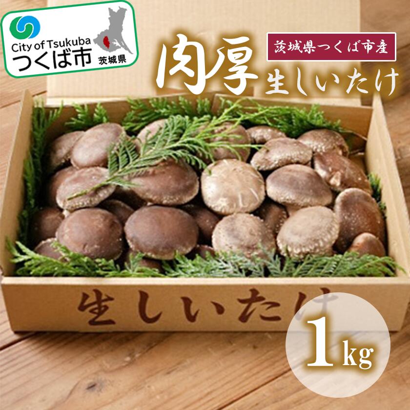【ふるさと納税】生しいたけ(原木栽培) 1kg | 茨城県 つくば市 シイタケ 椎茸 きのこ キノコ 茸 大玉 肉厚 原木栽培 乾物 健康食品 食材 保存期間の長い食材 食物繊維 ビタミン ミネラル