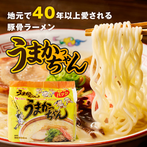 うまかっちゃん食べ比べ60個 _ うまかっちゃん 豚骨ラーメン 60個 食べ比べ セット 九州 豚骨エキス 野菜エキス 白濁スープ 濃厚新味 高菜風味 ラーメン ご当地ラーメン 即席ラーメン 麺 袋麺