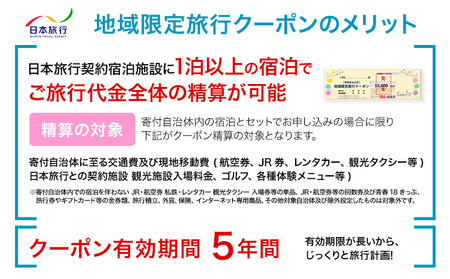 クーポン 地域限定旅行クーポン【300,000円分】日本旅行 《寄付翌日を目途に付与いたします》 熊本県 荒尾市 旅行 トラベル 熊本 旅行券 チケット 観光 クーポン 紙券