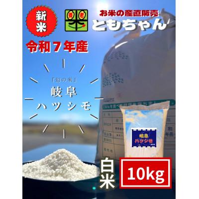 ふるさと納税 養老町 令和7年産　岐阜ハツシモSL　白米　10kg