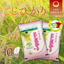 【ふるさと納税】令和6年産 千葉県産エコ米「コシヒカリ」10kg（5kg×2袋） お米 10kg 千葉県産 大網白里市 コシヒカリ エコ米 米 精米 こめ 送料無料 A002