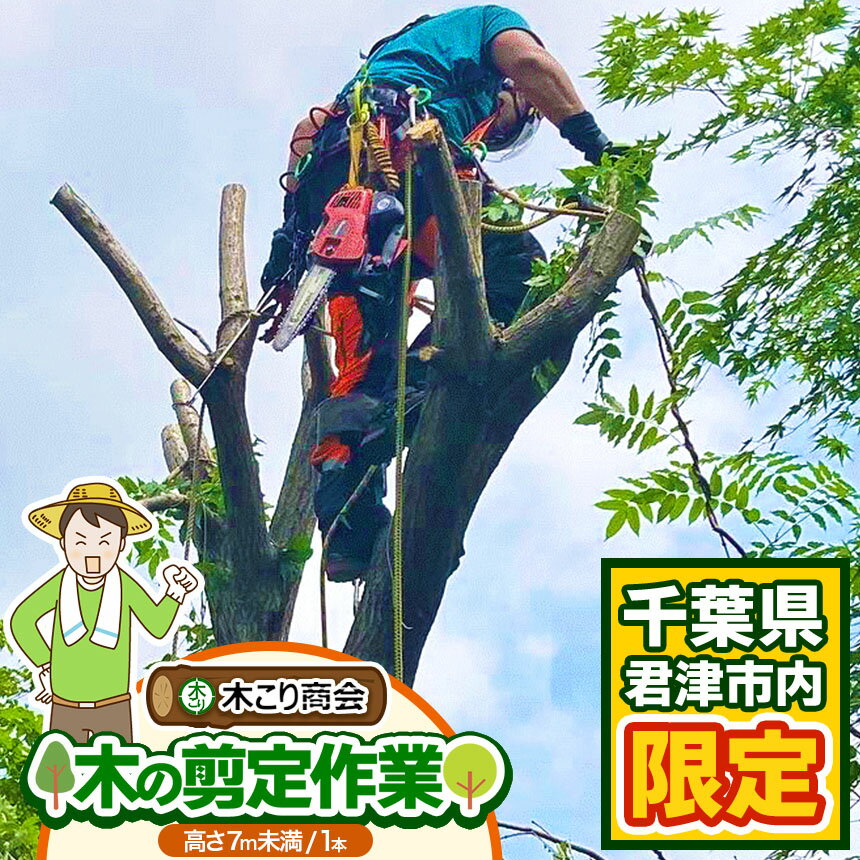 【ふるさと納税】君津市 木 の 剪定 作業 （高さ7m未満 1本） | 君津市 の 実家 君津市 の 空き家 木こり商会 せんてい プレゼント 庭の手入れ お庭 イチオシ 君津市 千葉県 きみつ
