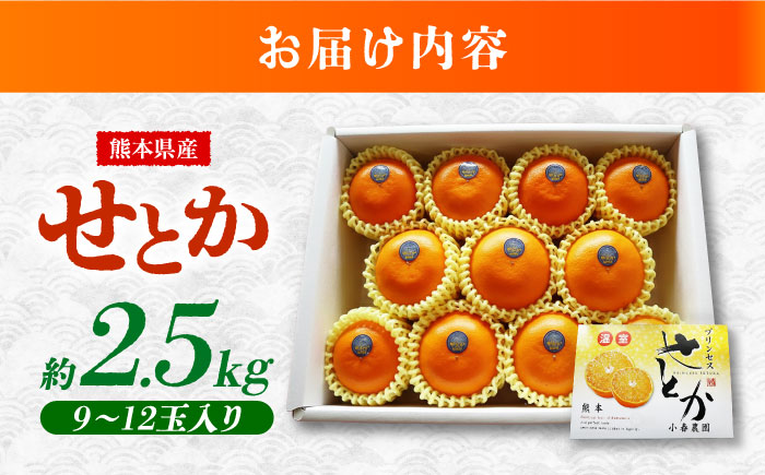 【2026年2月下旬から発送】せとか みかん 約2.5kg 果物 化粧箱入り フルーツ ギフト【小春農園】 [ZBN002]