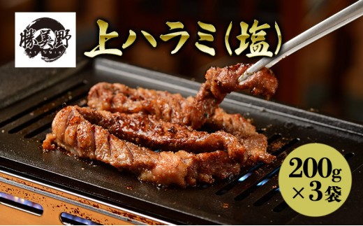 
            勝美野のホルモン 上ハラミ(塩)200g×3袋 焼肉 自家製だれ 浜松市 静岡 [№5360-0227]
          