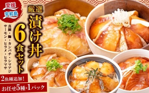 漬丼 厳選 活締め 全7種 お任せ 漬け丼 6食 セット 南予ビージョイ 5種 +1パック 鮭 サーモン 鰤 ブリ 真鯛 鯛 カンパチ 縞鯵 シマアジ 鯵 あじ ヒラメ ひらめ 平目 ヒラマサ ひらま