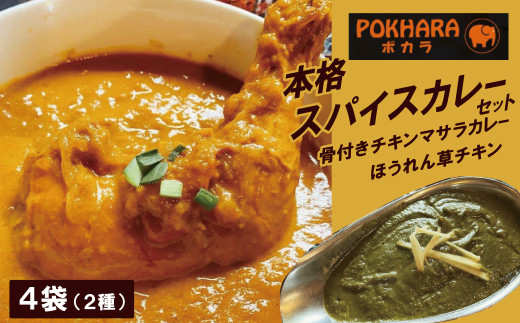 【レンジで簡単】本格スパイスカレー２種４袋セット 本格スパイスカレー 食べ比べ おやつ  H177-007