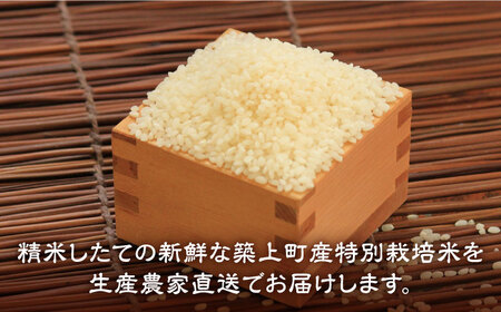 【令和5年産】特別栽培米 夢つくし 9kg 《築上町》【Nouhan農繁】 米 白米 お米  [ABAU017] お米おすすめ お米定番 お米人気 お米お取り寄せ 美味しいお米 お米料理 お米おススメ