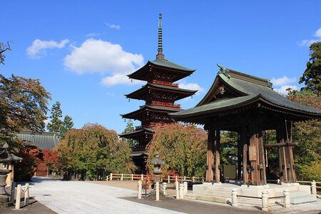 【タクシーでらくらく移動】着地型弘前さくらまつり見学ツアー　3名様ご招待