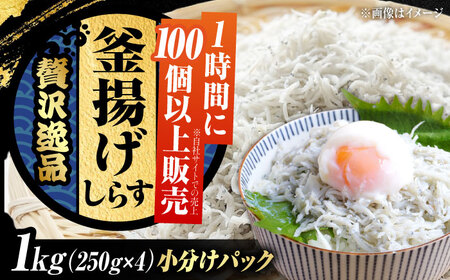 冷凍釜揚げしらす1kg しらす[XCN001]しらすしらすしらすしらすしらす
