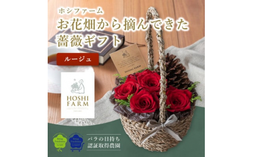 
ホシファーム　『お花畑から摘んできた薔薇ギフト』ルージュ【1465210】
