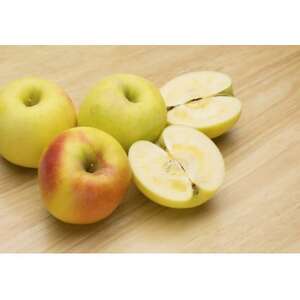 【2026年発送】【家庭用】甘みが強い　長野県産 りんご　ぐんま名月　約1.5kg(3～5玉程度)【1686951】