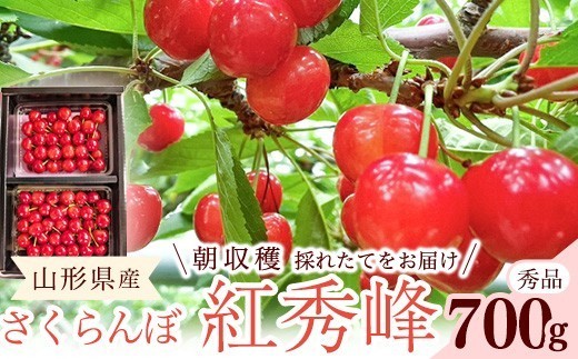 
                  【先行予約】令和8年産 さくらんぼ 紅秀峰 Lサイズ以上 秀品 700g （350g×2パック） 2026年産 山形県産 【2026年6月中旬頃～7月中旬頃発送予定】※配送不可 沖縄・離島　024-A-RF001
                