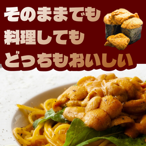 訳あり 生 うに 200g うに AB