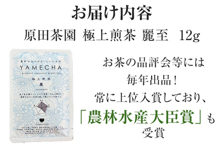 お試し企画【八女茶】原田茶園 極上煎茶 麗至 12g（茶葉タイプ） お試し 八女 極上 煎茶 福岡 茶葉 お茶