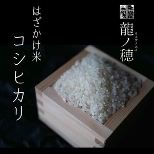 【令和8年産】南信州産はざかけ米 コシヒカリ 約10kg | 龍ノ穂 －リュウノスイー