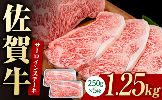 佐賀牛 贅沢 サーロインステーキ 250g×5枚（計1250g）【株式会社いろは精肉店】 [IAG054]