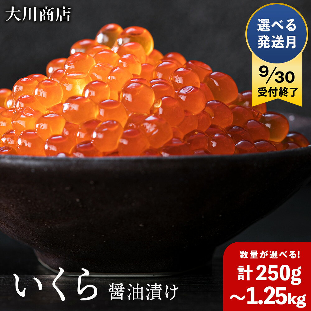 【ふるさと納税】9月30日受付終了☆選べる発送時期☆ いくら醤油漬け 選べる計250g～1.25kg 1箱250g ＜大川商店＞北海道ふるさと納税 積丹町 魚介類 ふるさと納税 海鮮 北海道 いくら 醤油漬け 魚卵 いくらしょうゆ漬け 加工品 海産物 通販 ギフト 贈答品